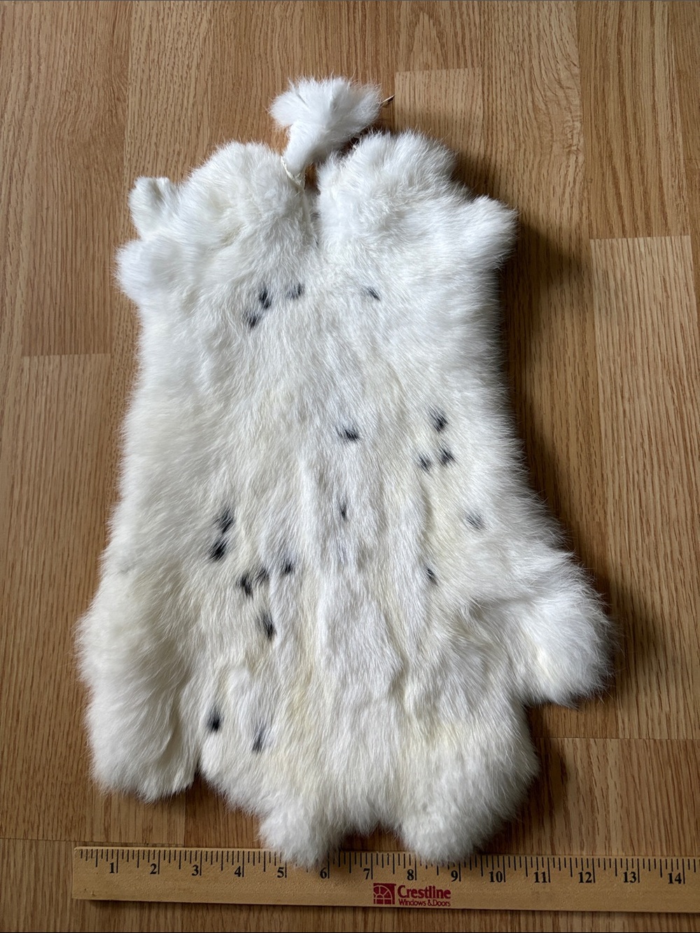 B0208 rabbit pelt